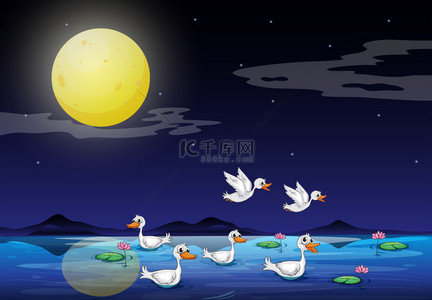 湖面背景背景图片_鸭在池塘在月光下风光