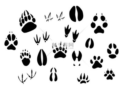 动物-鸟类和哺乳动物-在白色背景上隔离的脚印剪影