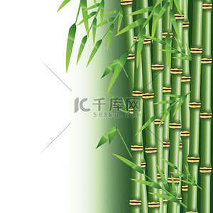 竹的树干，树叶设计