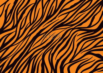 周岁小老虎背景图片_老虎线条皮肤抽象简单黑色橙色背景