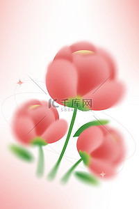 春天花朵红色背景图片_春天花朵红色