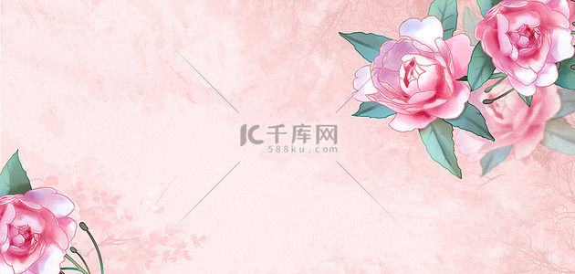 手绘风植物背景图片_山茶花花粉色手绘背景