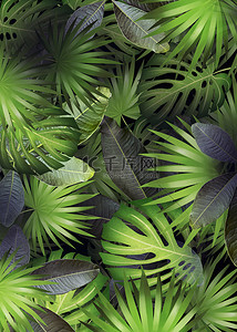 清新时尚绿色背景图片_热带植物多种树叶棕榈叶背景