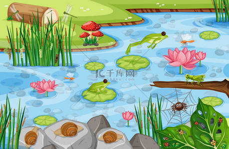 有许多绿色青蛙图解的池塘场景
