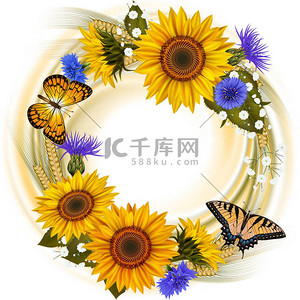 耳朵背景图片_花卉卡片模板与向日葵, 矢车菊, 麦子耳朵, 满天星花和蝴蝶分离的例证
