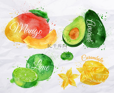 绘水果背景图片_奇异的水果水彩芒果、 牛油果、 杨桃、 石灰