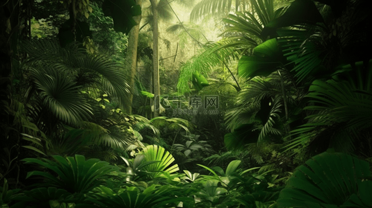 绿色热带雨林自然背景