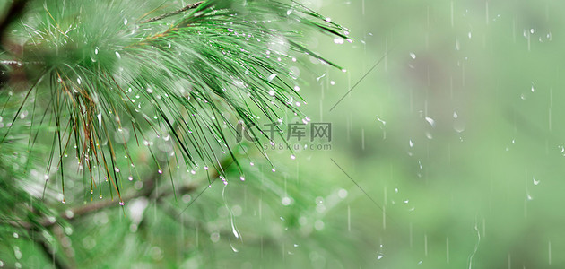 绿叶水滴背景图片_雨水绿叶水滴绿色