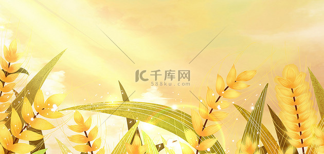阳光麦子背景图片_小满金色麦子手绘背景