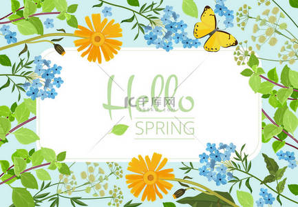 wild背景图片_Flowers background. Wild plants and herbs collection beautiful floral garden vector template