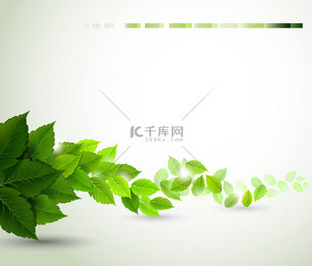 eko背景图片_分支与新鲜绿色的树叶