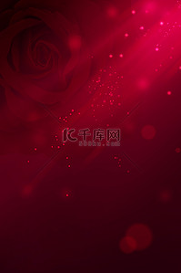 红色玫瑰情人节背景图片_情人节玫瑰红色简约背景