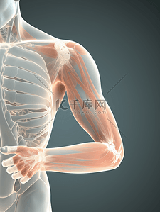 盆腔疼痛背景图片_关节疼痛医学透视图