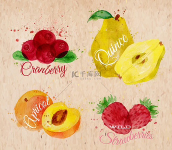 食品纹理背景背景图片_水果水彩蔓越莓，木瓜，杏、 野草莓卡夫