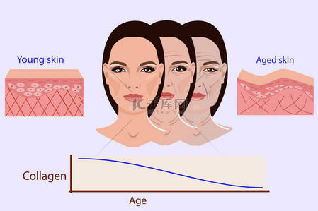 矢量的脸和两种类型的皮肤-岁和争取医疗和美容的插图，孤立的年轻人