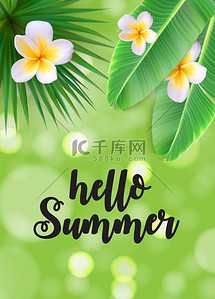 前往icon背景图片_Hello Summer Natural Floral Background with Frame Vector Illustration