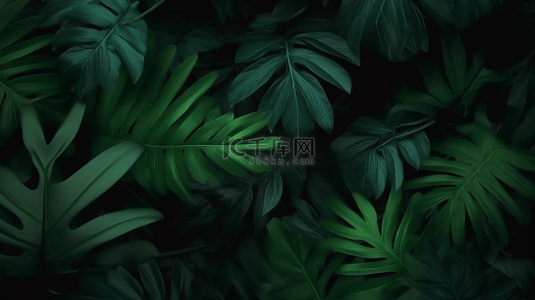 夏季高温横版衬底背景图片_绿色热带植物叶子背景