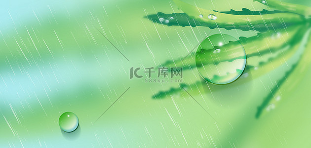 雨水底纹背景图片_谷雨植物绿色简约背景