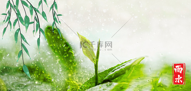 雨水节气植物绿色摄影风背景