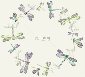 dragonfly.greeting 卡与蜻蜓的美丽装饰框架.