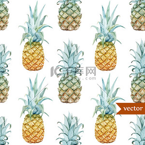 无缝背景叶背景图片_水彩菠萝热带植物和水果-外来模式