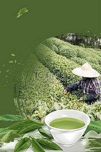 春茶海报背景图片_春茶海报旅游茶叶