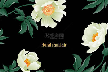 花卉卡片豪华图案精致柔和的白色花园牡丹黑色背景植物状复古风格矢量花束和花圈花园花卉模板名片, 海报, 标志, 传单
