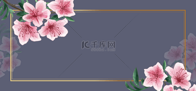 花卉粉白色花朵边框背景