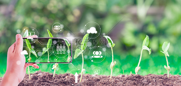 绿色农业科技背景图片_农业科技土壤植物绿色