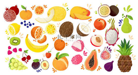 一套五颜六色的手绘水果 - 热带甜果，柑橘类水果插图。苹果、梨、橙、香蕉、木瓜、龙果、李子等。矢量彩色草图隔离