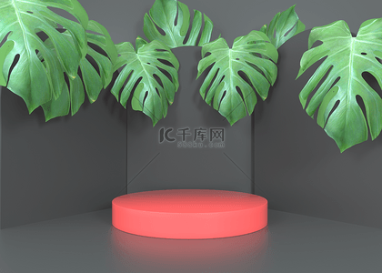 植物展台黑色背景3d渲染红色圆柱形展台
