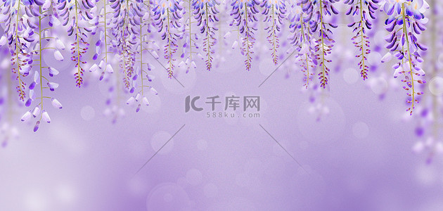 紫藤花长廊背景图片_紫藤花卉植物紫色