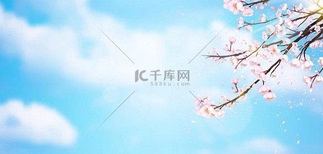 春天立春桃花樱花蓝色清新春季海报背景