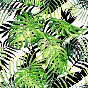 热带植物水彩图案，黑色和白色叶 silho