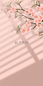 花卉梅花背景图片_花卉与阴影粉色梅花装饰背景