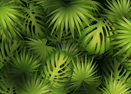 热带植物树叶背景图片_热带植物树叶棕榈叶创意绿色背景
