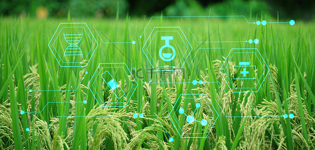 绿野农业背景图片_农业科技农业生产背景素材