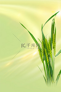 芒种麦子绿色中国风节气海报