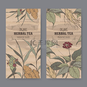 植物学背景图片_两种颜色姜和人参葡萄酒标签凉茶.