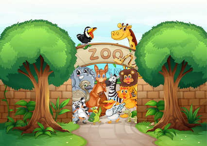 动物的圆珠笔画背景图片_动物园和动物