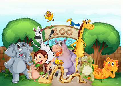 和动物背景图片_动物园和动物
