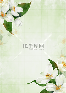 绿色苹果背景图片_花卉盛开白色花瓣水彩背景