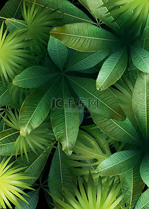 热带植物新鲜的树叶棕榈叶背景