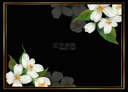 花卉白色简约黑金框背景