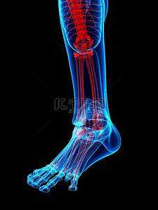医学蓝色背景图片_脚踝脚部人体部位蓝色科技背景