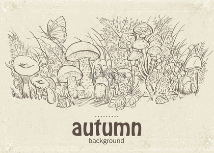 葡萄篮背景图片_秋天的蘑菇、 草和蝴蝶在循环中的插图