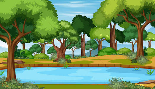 森林景观图上有池塘的自然景观