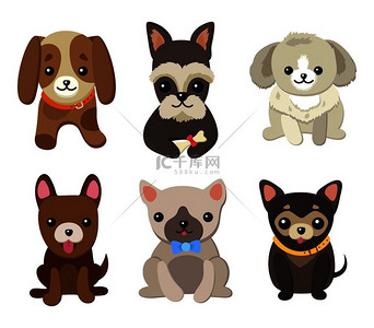 狗和小狗系列，带有宠物的海报，不同品种，哈巴狗和巴塞特猎犬，拉布拉多犬和吉娃娃犬，达克斯猎犬在矢量图上。