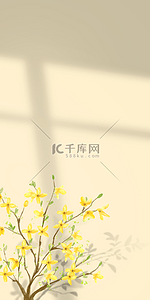 花卉与阴影黄色花朵装饰背景