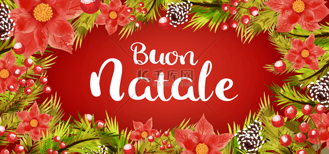意大利圣诞节快乐树叶花朵红色背景